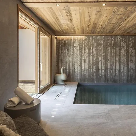 Suzane - Panorama Mont-blanc&jacuzzi Combloux